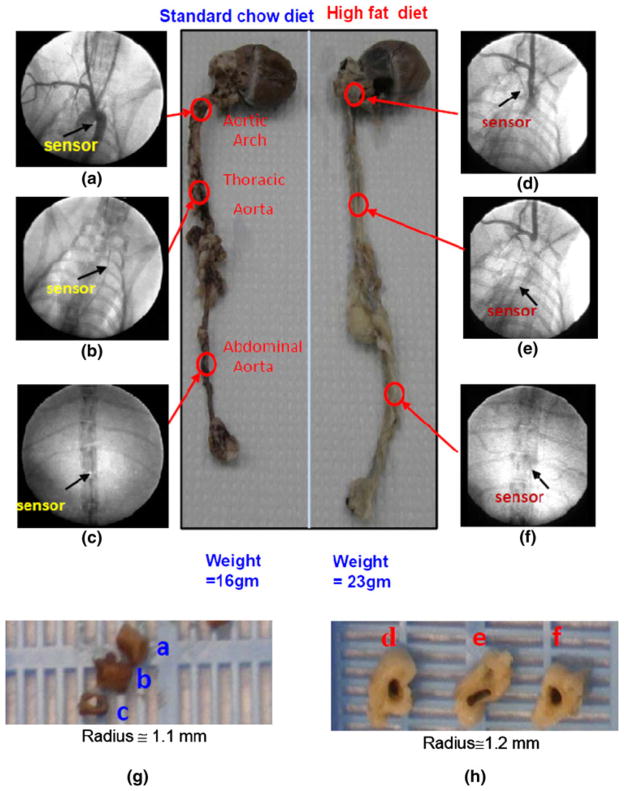 FIGURE 3