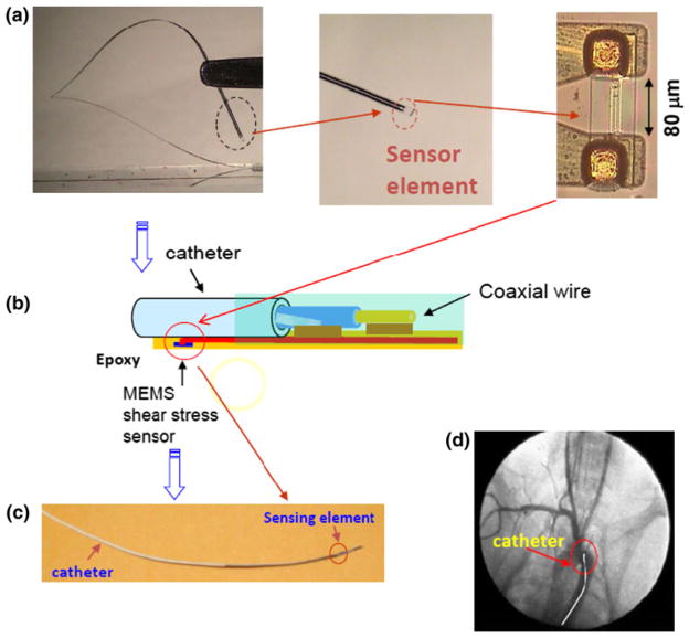 FIGURE 1