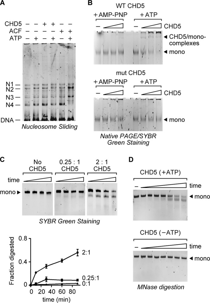 FIGURE 4.