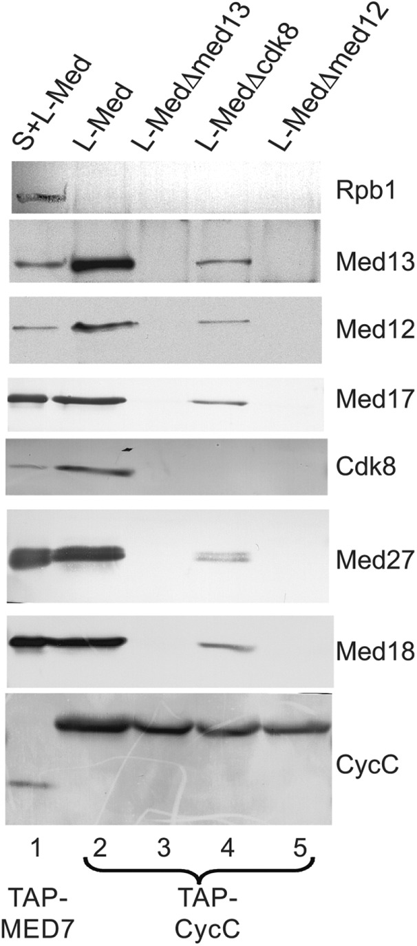 FIGURE 1: