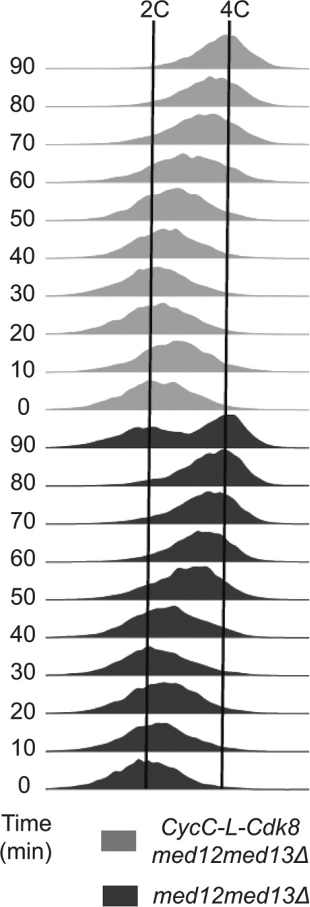 FIGURE 8: