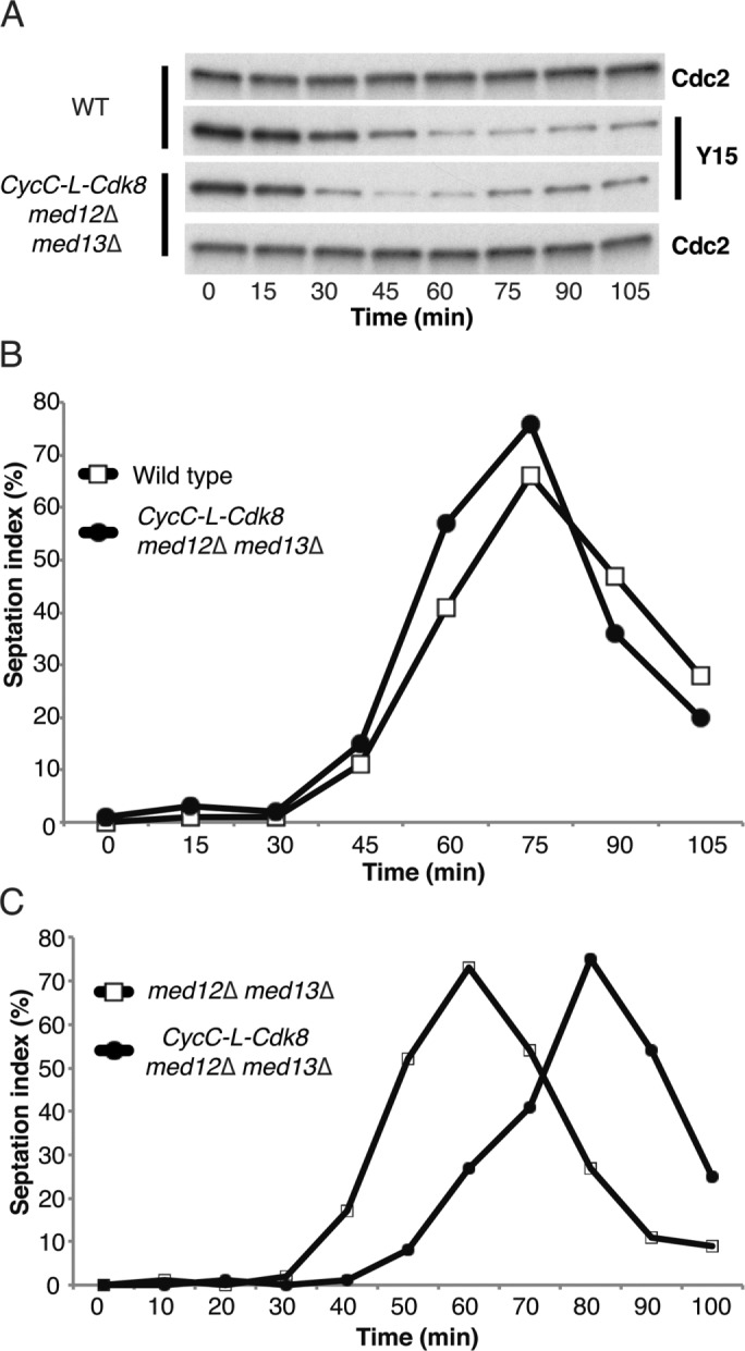 FIGURE 7: