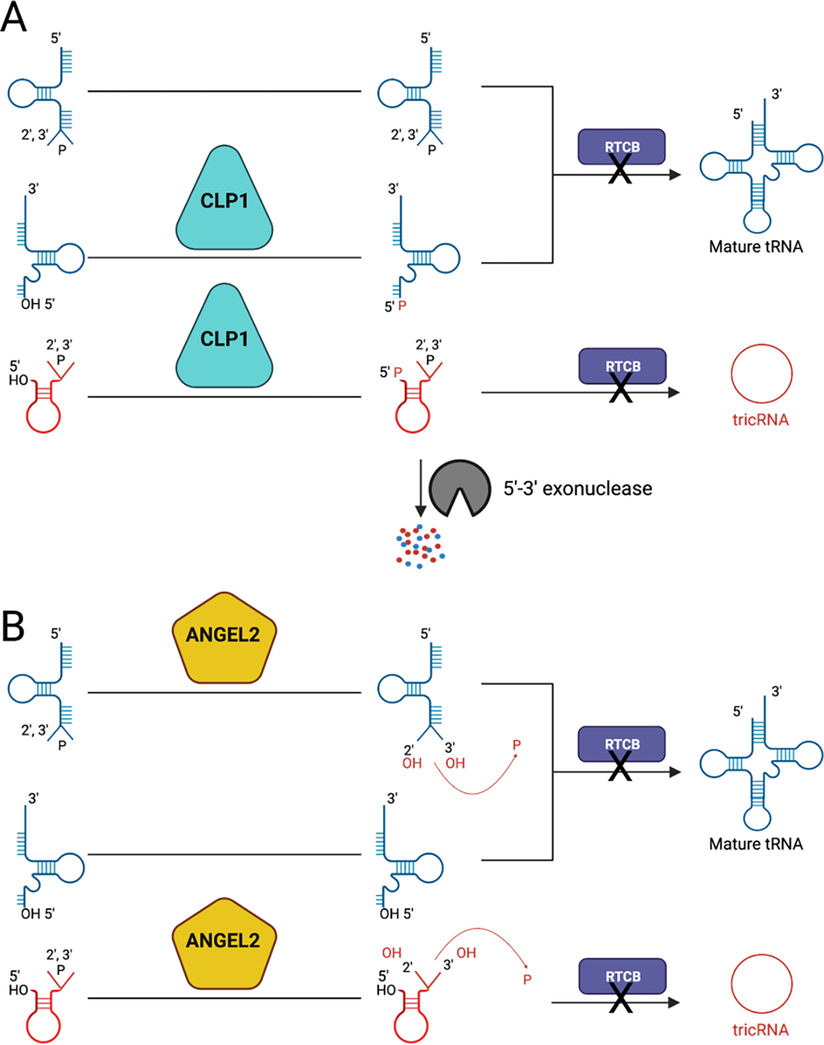 Figure 6: