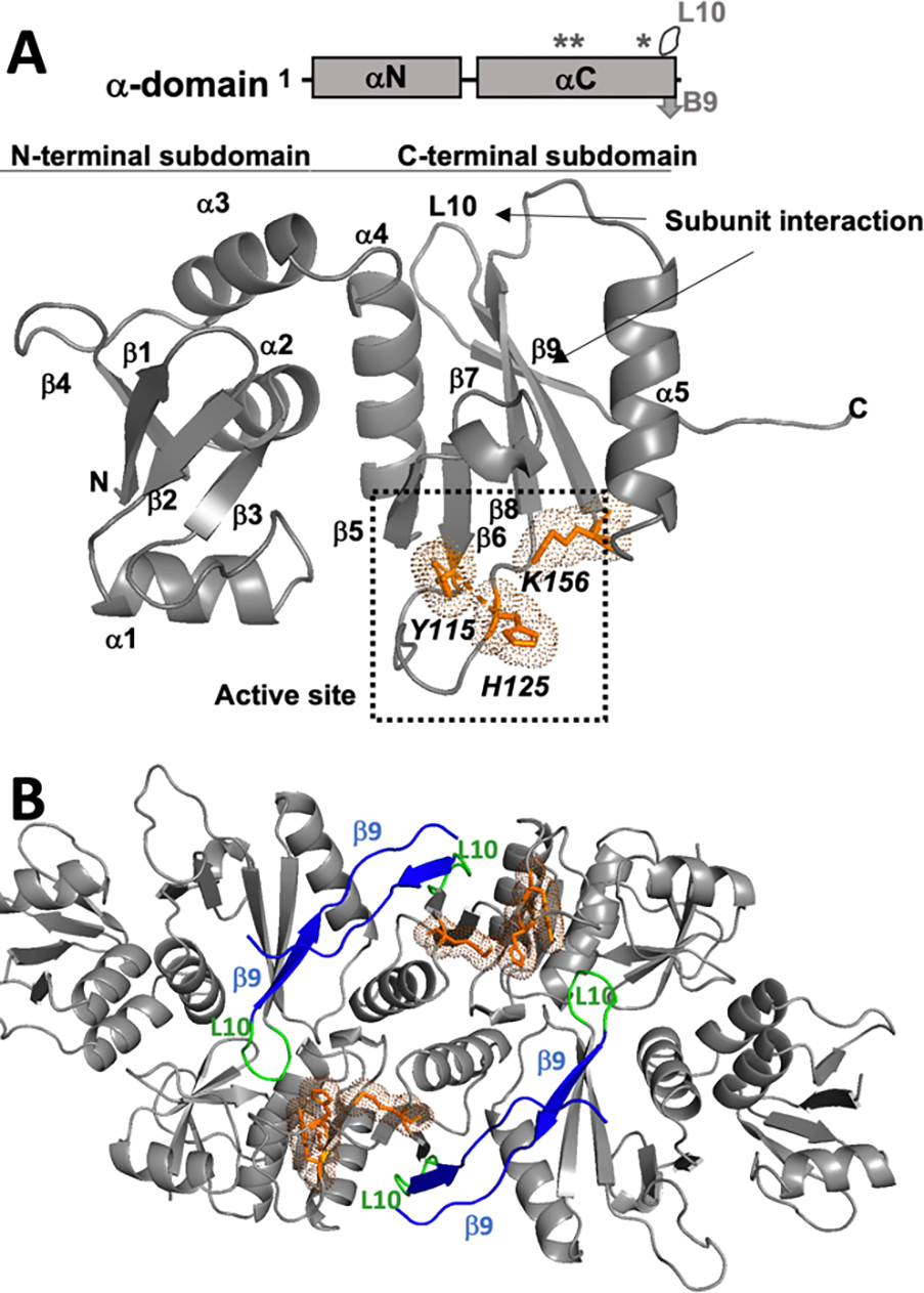 Figure 2: