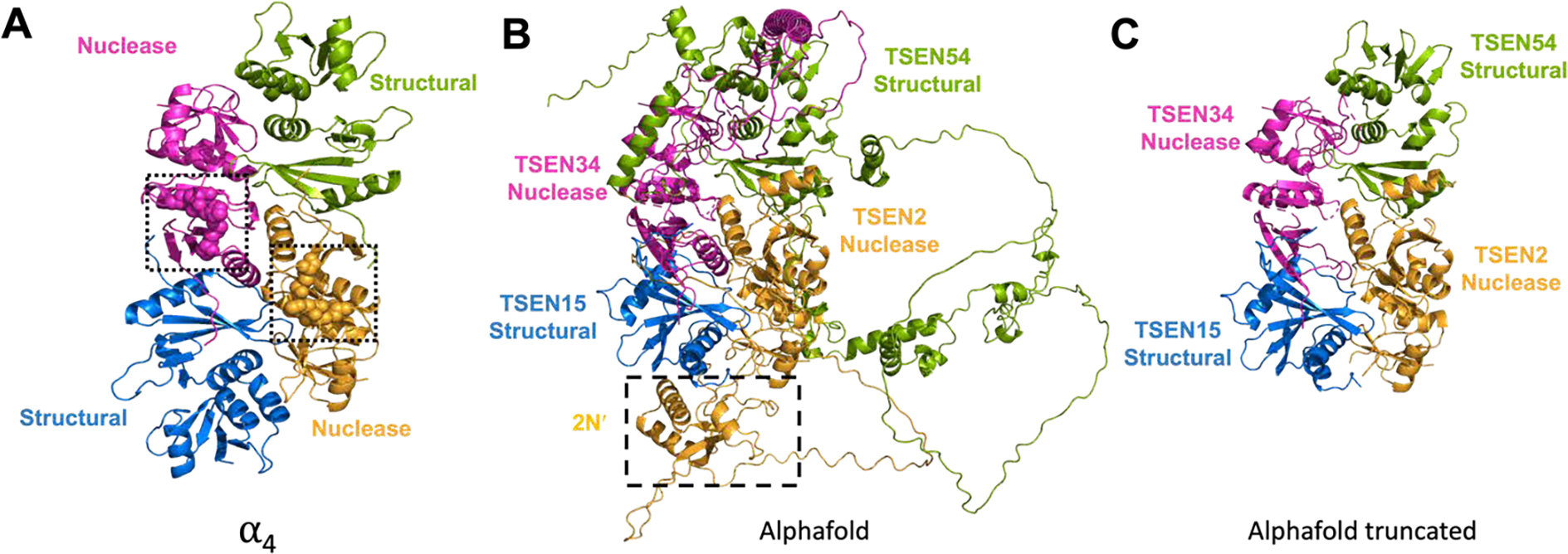 Figure 4: