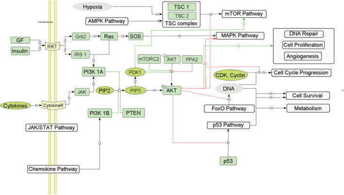 FIGURE 7