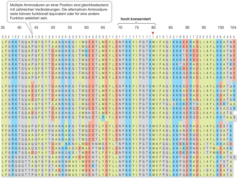 graphic file with name 154381_10_De_23_Fig4_HTML.jpg