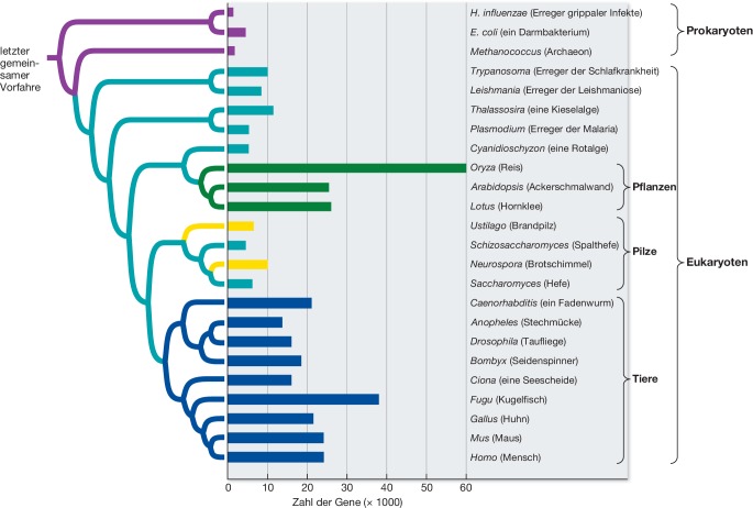 graphic file with name 154381_10_De_23_Fig8_HTML.jpg