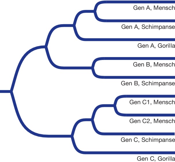 graphic file with name 154381_10_De_23_Fig13_HTML.jpg