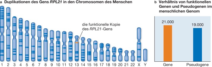 graphic file with name 154381_10_De_23_Fig10_HTML.jpg