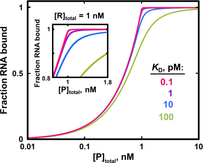 Figure 5—figure supplement 2.