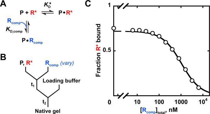 Appendix 3—figure 1.