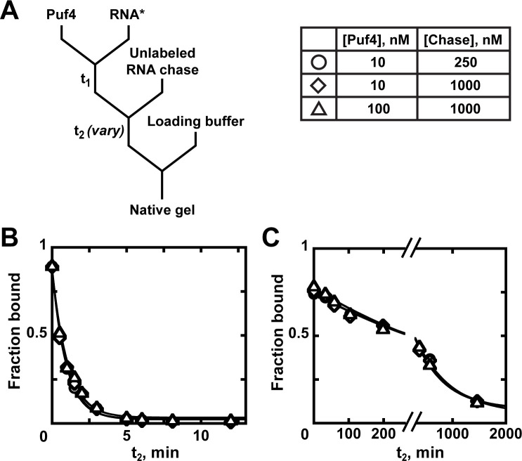 Appendix 1—figure 1.