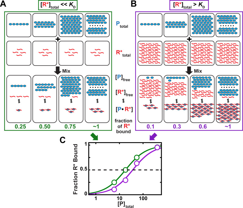 Figure 5—figure supplement 5.