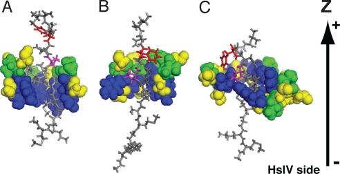 Fig. 2.