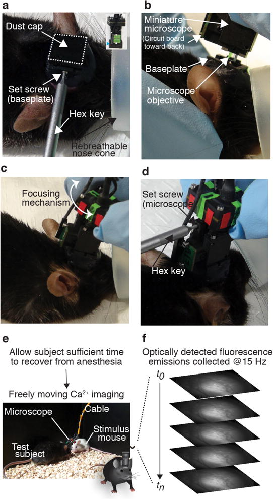 Figure 15