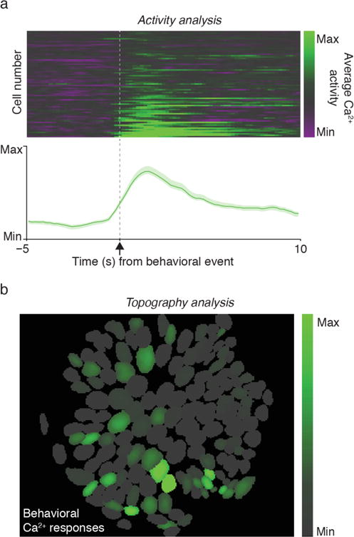 Figure 17