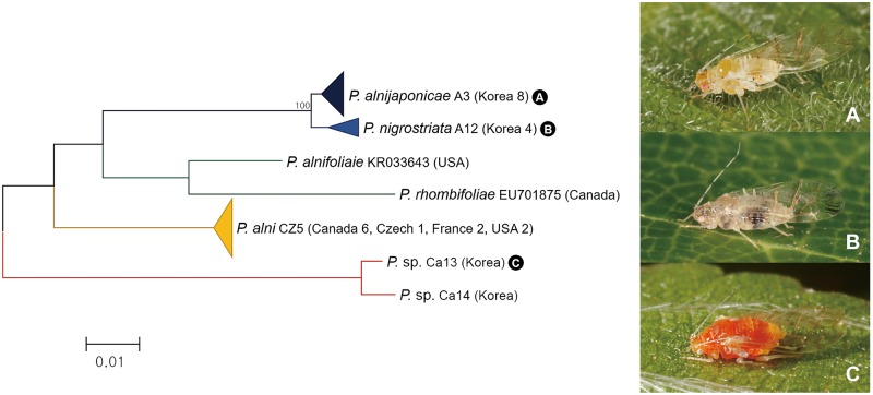 Fig 20