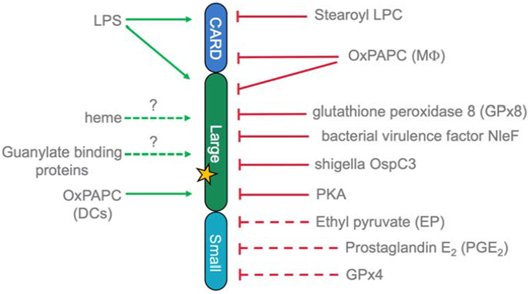 Figure 3.