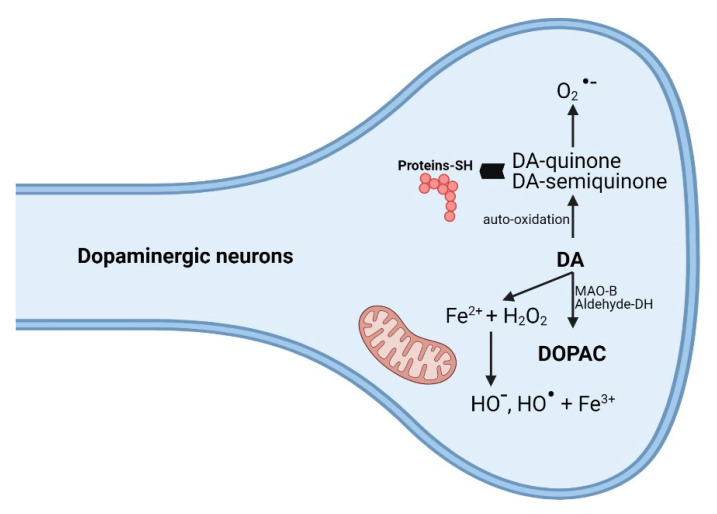 Figure 6