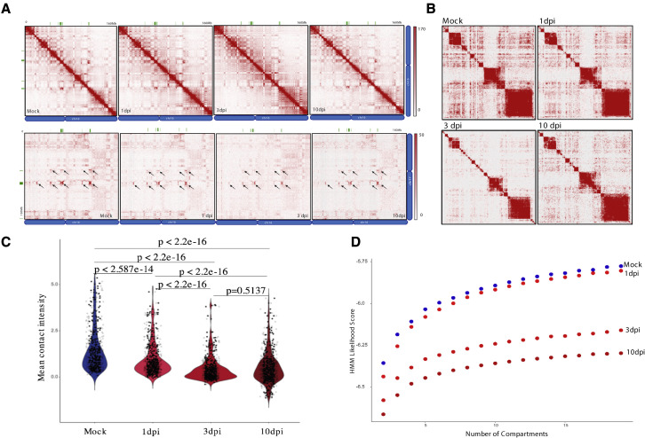 Figure 4