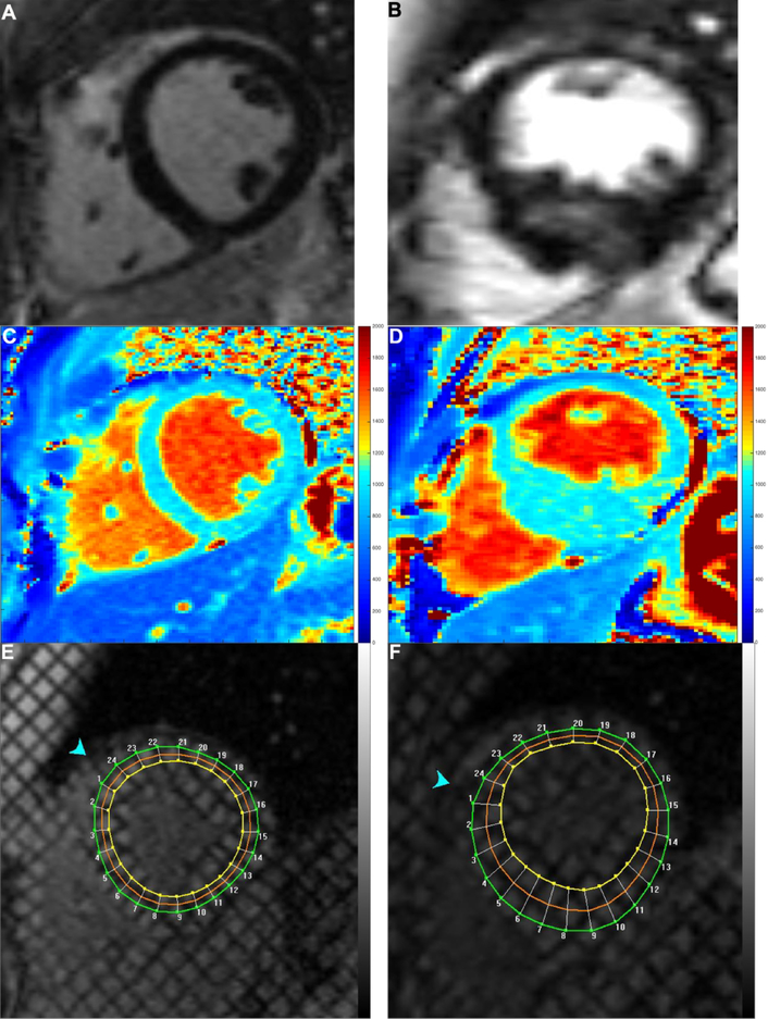 Figure 1: