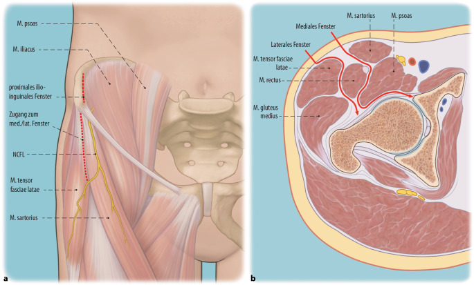 graphic file with name 64_2022_771_Fig5_HTML.jpg
