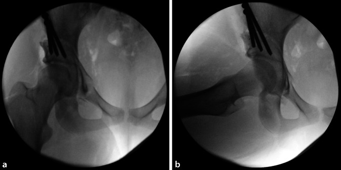 graphic file with name 64_2022_771_Fig16_HTML.jpg