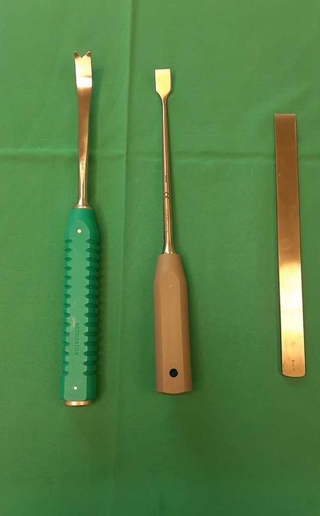 graphic file with name 64_2022_771_Fig2_HTML.jpg