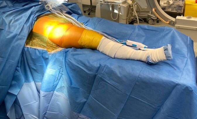 graphic file with name 64_2022_771_Fig3_HTML.jpg