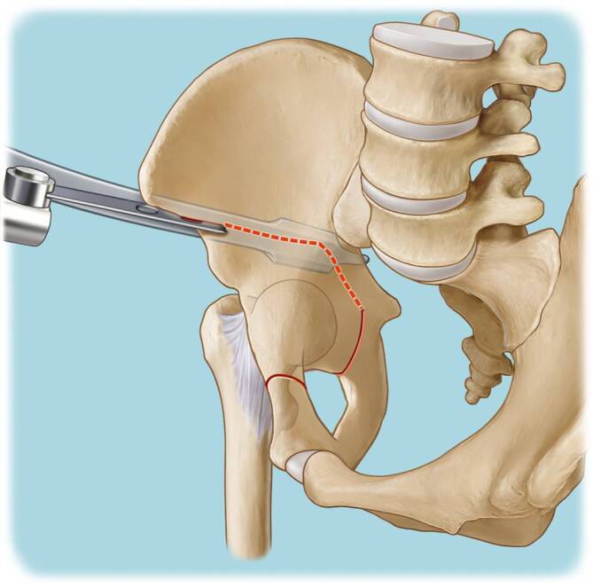 graphic file with name 64_2022_771_Fig12_HTML.jpg