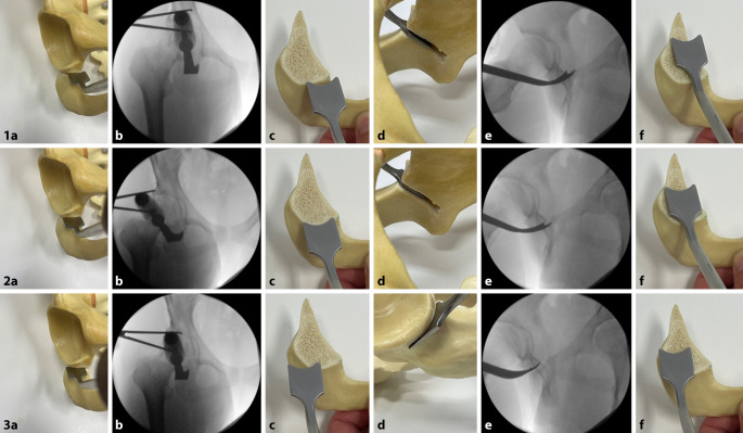 graphic file with name 64_2022_771_Fig8_HTML.jpg