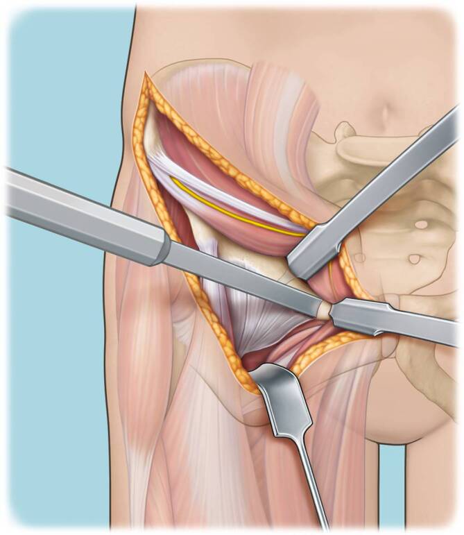 graphic file with name 64_2022_771_Fig10_HTML.jpg