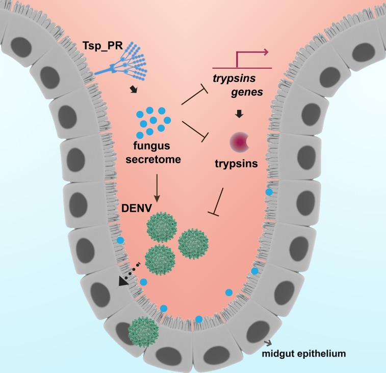 Figure 10.