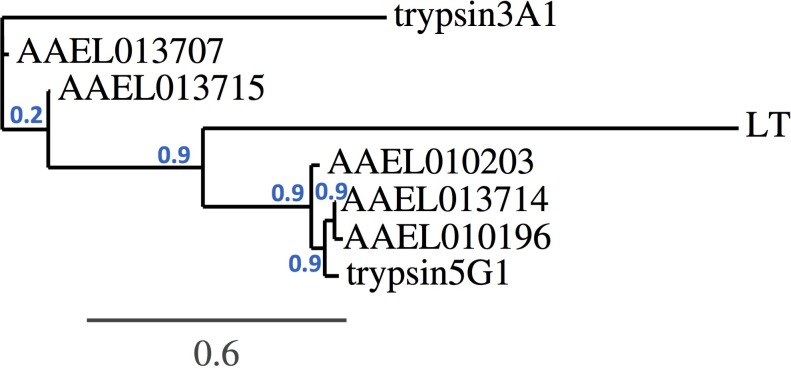 Figure 9.