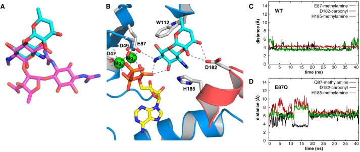 Figure 7.