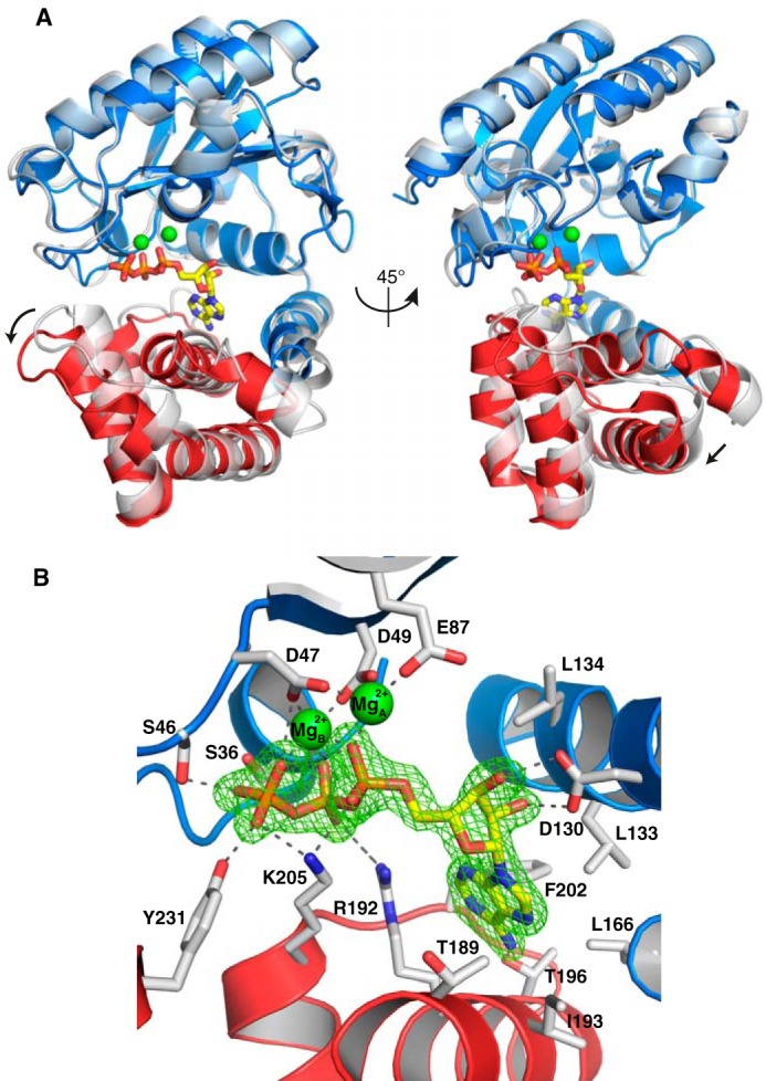 Figure 2.