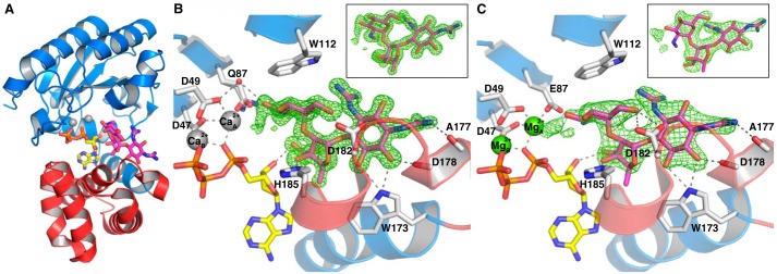 Figure 3.