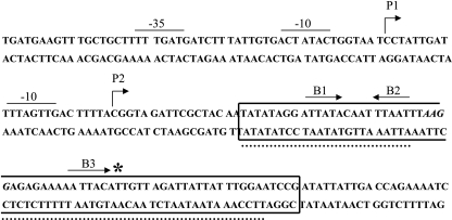 FIG. 2.