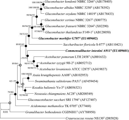 FIG. 1.