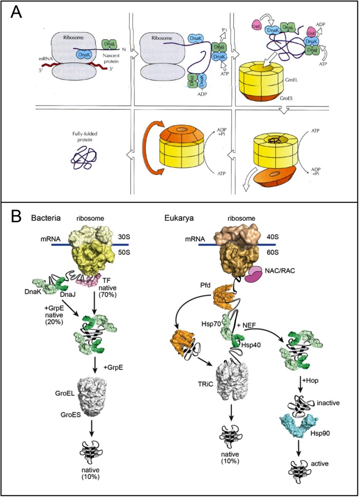 FIGURE 3: