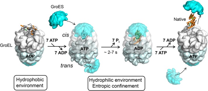 FIGURE 2: