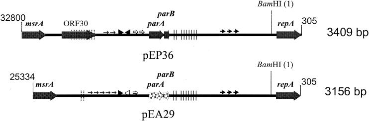 FIG. 5.