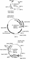 FIG. 6.