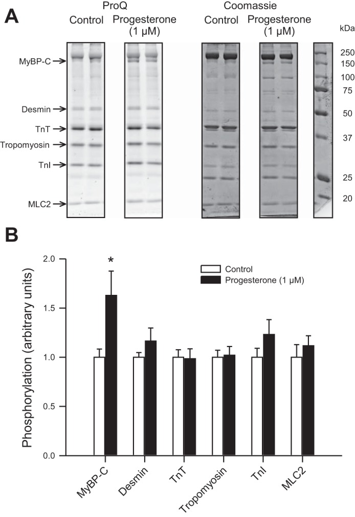 Fig. 8.