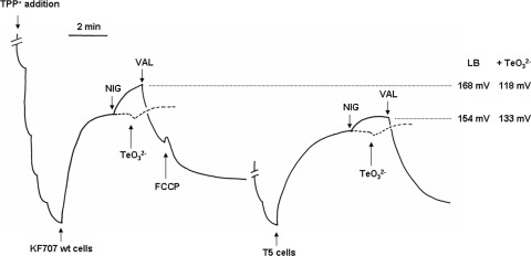 FIG. 3.