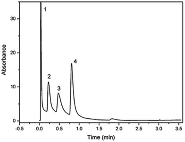 Fig. 17