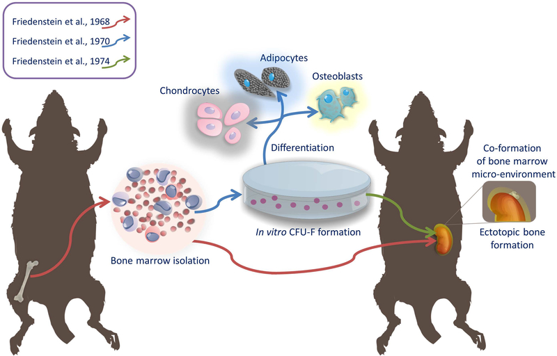 Figure 1: