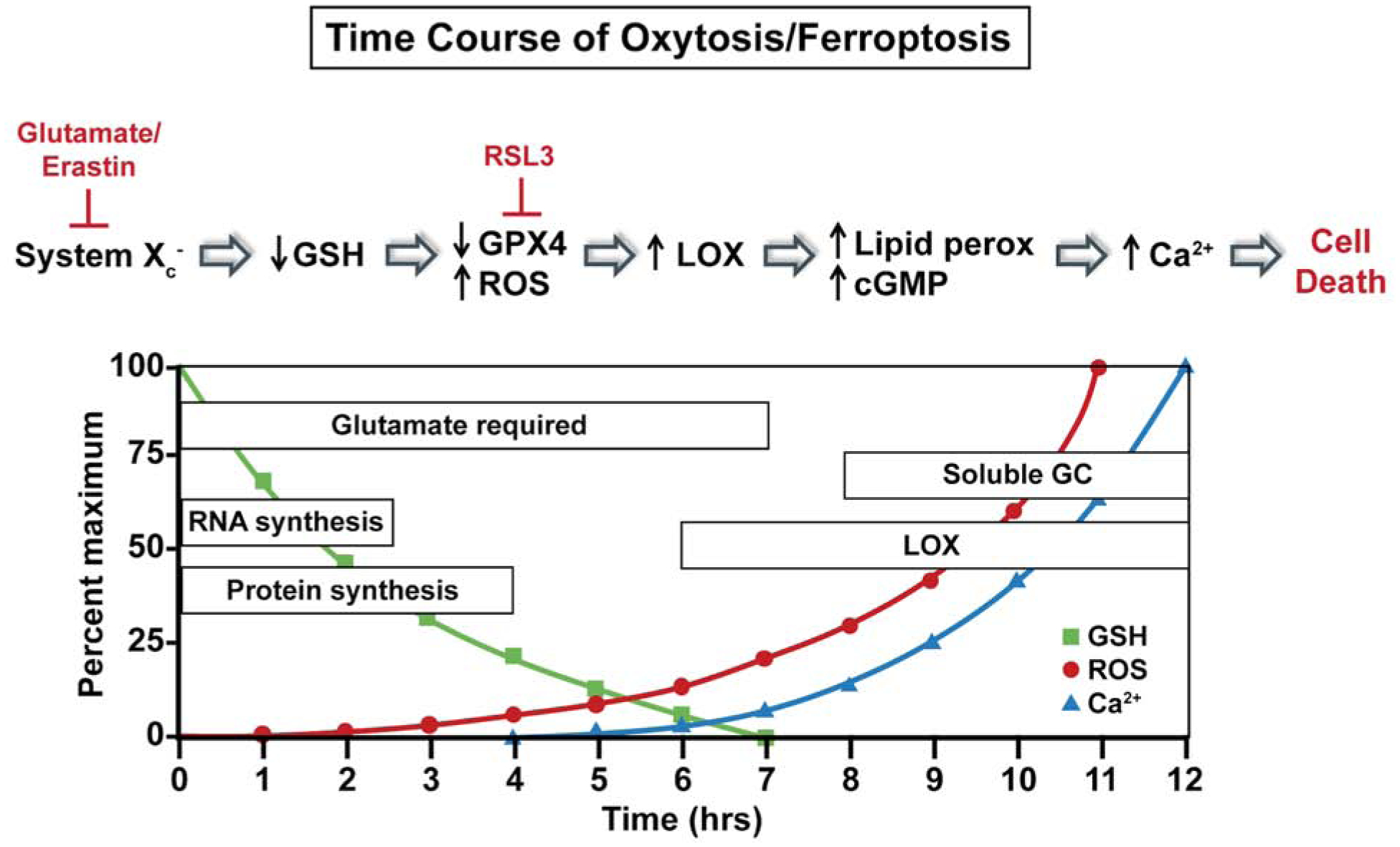 Figure 2: