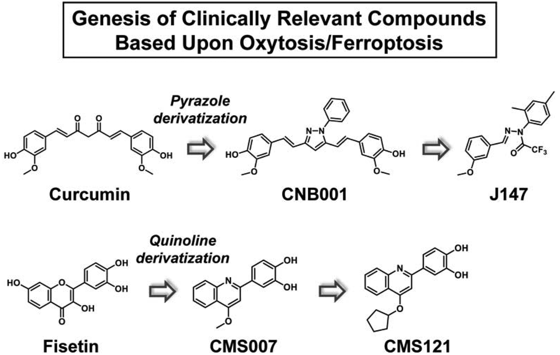 Figure 4: